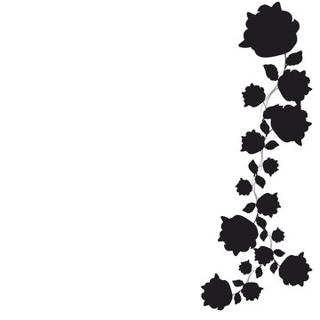 Fototapeta beautiful flowers