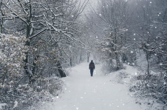 man walking on snowy path through magical winter forest during snofall