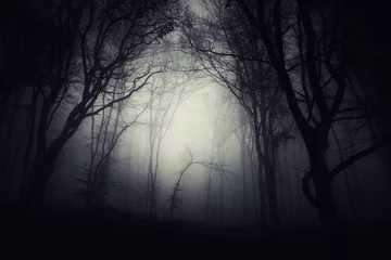 Wandcirkels aluminium donkere fantasie bos achtergrond © andreiuc88