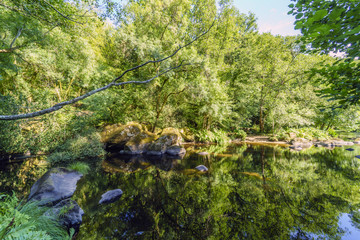 small lake in the mountain stream called 