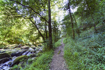 Fototapeta na wymiar path along the edge of the mountain river called 