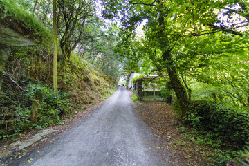 Fototapeta na wymiar Narrow mountain road with very little traffic and people walking on a hillside in a typical Atlantic forest
