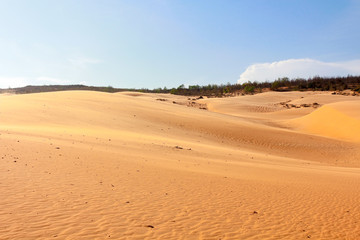 Fototapeta na wymiar Beauty of Landscape desert, Red Sand Dune Mui Ne in Vietnam