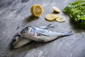 Raw dorado fish with lemon on grey marble table