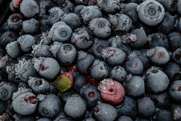 Frozen bilberries - texture -Black berries covered by ice