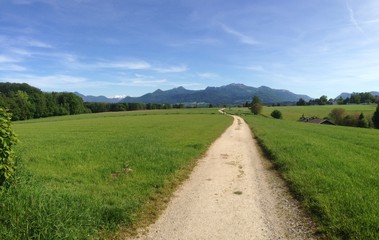 Fototapeta na wymiar Bavarian Alps in Summer