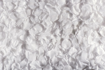 White background of delicate flower petals