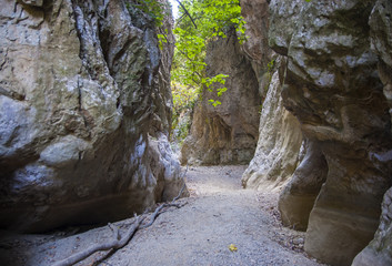 Patsos gorge view, Crete, Greece