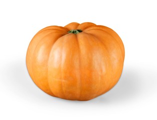 pumpkin over white background