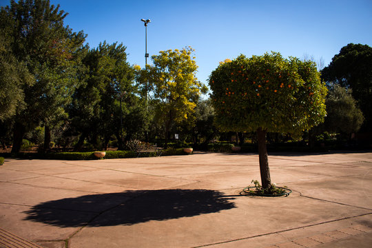 Park Jnane el Harti in Marrakesch