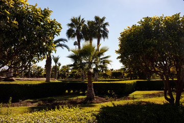 Plakat Garten Jardins de la Koutoubia in Marrakesch