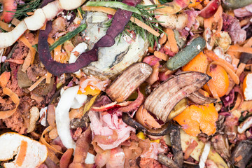 Food residue compost, natural, biological