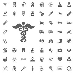 Medical and Hospital Icon vector Set