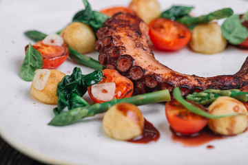 Fried octopus tentacles with vegetable on white plate on dark wood background