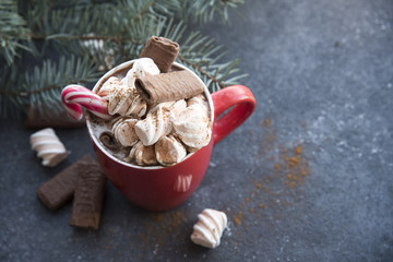 cocoa with marshmallows, Christmas tree branches and Christmas decorations. place for text
