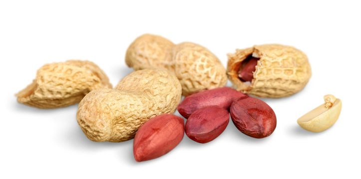 Nuts collection on a white background