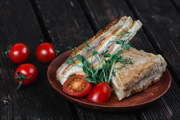 Club sandwich on brown plate on dark wood background