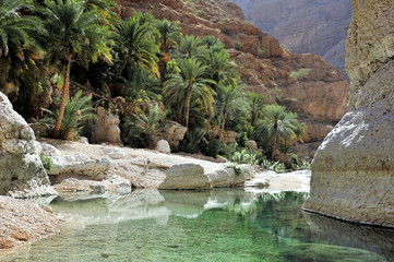 Wadi Shab, oasis, between the mountains, Oman - obrazy, fototapety, plakaty