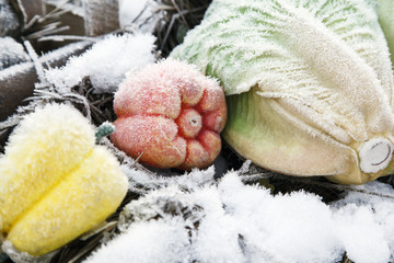 frozen vegetables covered with hoarfrost. Cabbage, bell pepper, red and yellow