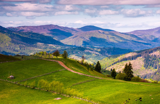 grassy rural fields in mountainous area. beautiful countryside landscape under the cloudy sky