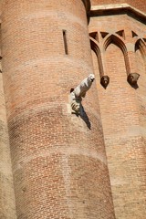 Albi