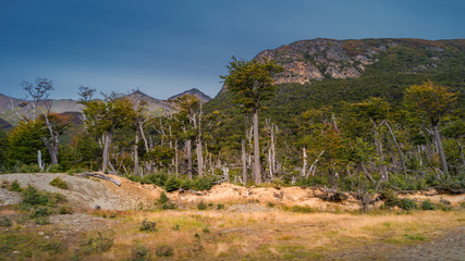 Fototapeta na wymiar Gorgeous landscape of Patagonia's Tierra del Fuego National Park in Autumn