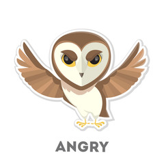 Isolated angry owl.