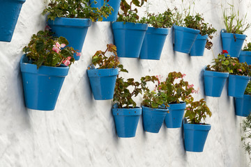 Fototapeta na wymiar Blue flower pots on a white wall. Mijas (Andalusia, Spain).