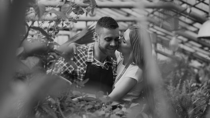 Fototapeta na wymiar Cheerful woman embrace and kiss husband watering flowers with garden pot. Happy young florist couple in apron working in greenhouse