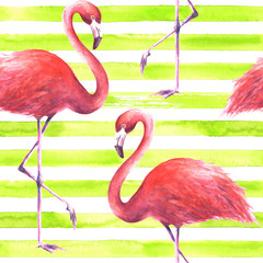 Seamless pink flamingos pattern