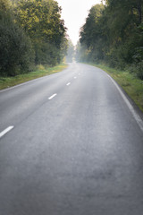 Naklejka premium Country road in morning