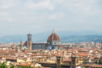 Fototapeta na wymiar Florence cityscape with Cathedral Santa Maria del Fiore