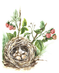 Watercolor Bird Nest