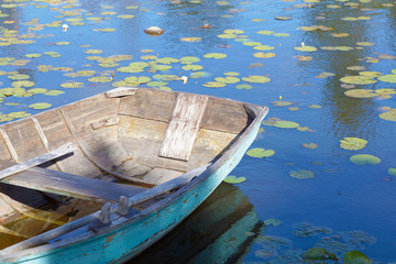 Old wooden rowboat painted in wethered green color tied up. Water lilys on the water