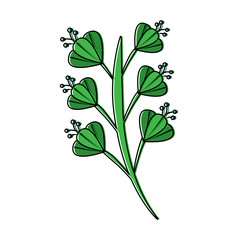 beautiful flower blossom with leaves vector illustration