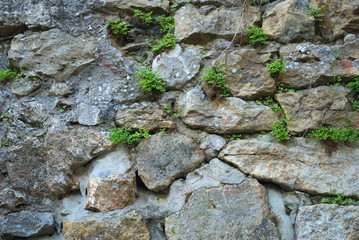 skalna ściana © Pawel