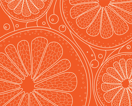 Natural color stylized linear background with citrus in section. Hand-drawn doodling background. Vector illustration.