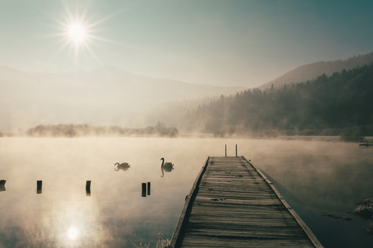 Mysterious lake on an early winter morning photographed in backlight in central Slovenia