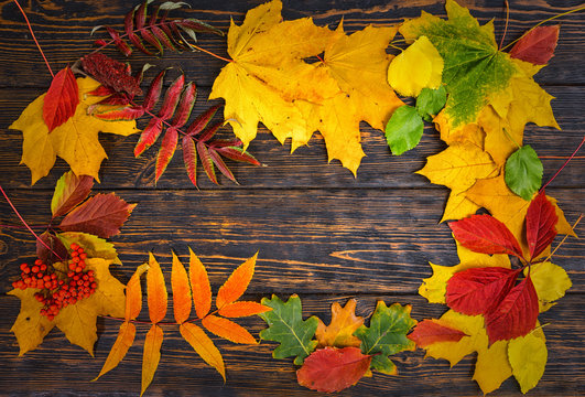 Autumn background with yellow, red and green leaves on aged wooden desk with copy space