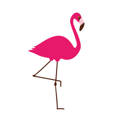 Fototapeta premium pinker flamingo