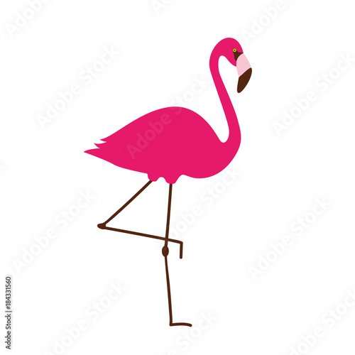 "pinker flamingo" stockfotos und lizenzfreie vektoren auf