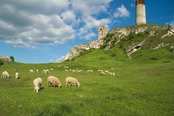 Zamek Olsztyn © Pawel