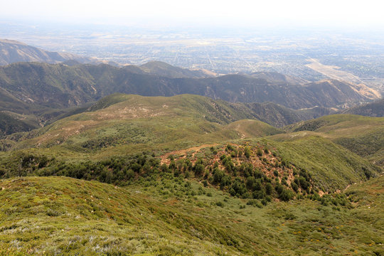 Fototapeta San Bernarnino National Forest