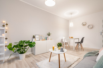 Living room in scandinavian style