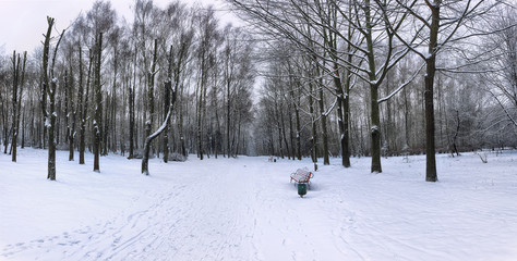 Park bench and trees covered by heavy snow