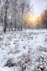 Snow-covered grass in city park at sunset