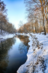 Fototapeta na wymiar Scenic view of the river and trees in winter