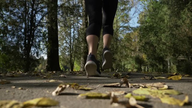 Active teenager runner girl wearing sport clothes jogging and relaxing after school in the park on an autumn day in slow motion