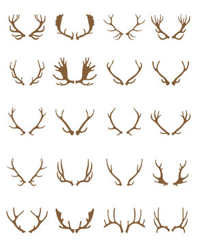 Golden silhouettes of different deer horns on a white background