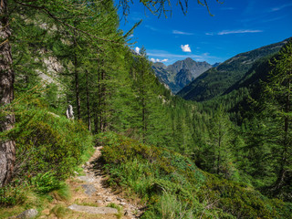 Fototapeta na wymiar Hiking Trail in Natural Park of Alta Valle Antrona